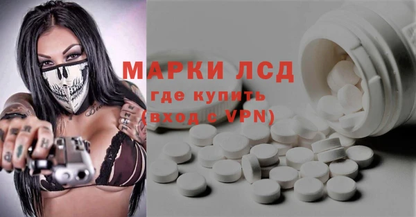 ПСИЛОЦИБИНОВЫЕ ГРИБЫ Заводоуковск