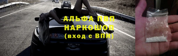 ПСИЛОЦИБИНОВЫЕ ГРИБЫ Заводоуковск
