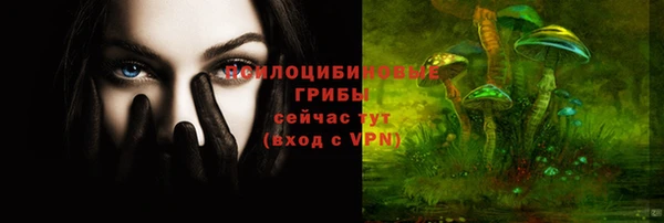 ПСИЛОЦИБИНОВЫЕ ГРИБЫ Заводоуковск