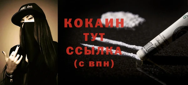 ПСИЛОЦИБИНОВЫЕ ГРИБЫ Заводоуковск