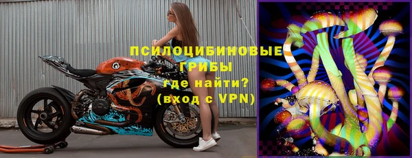стаф Заволжье