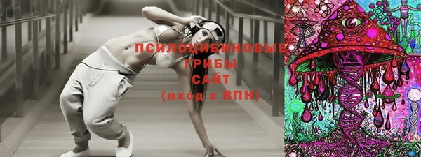 ПСИЛОЦИБИНОВЫЕ ГРИБЫ Заводоуковск