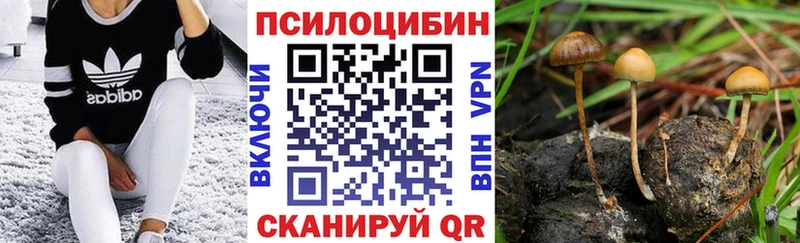 где продают наркотики  Кубинка  Галлюциногенные грибы ЛСД 